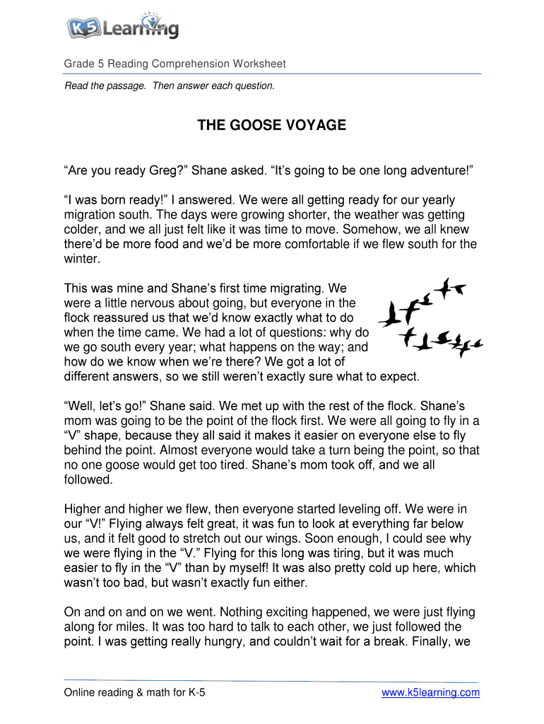5th grade reading comprehension worksheets