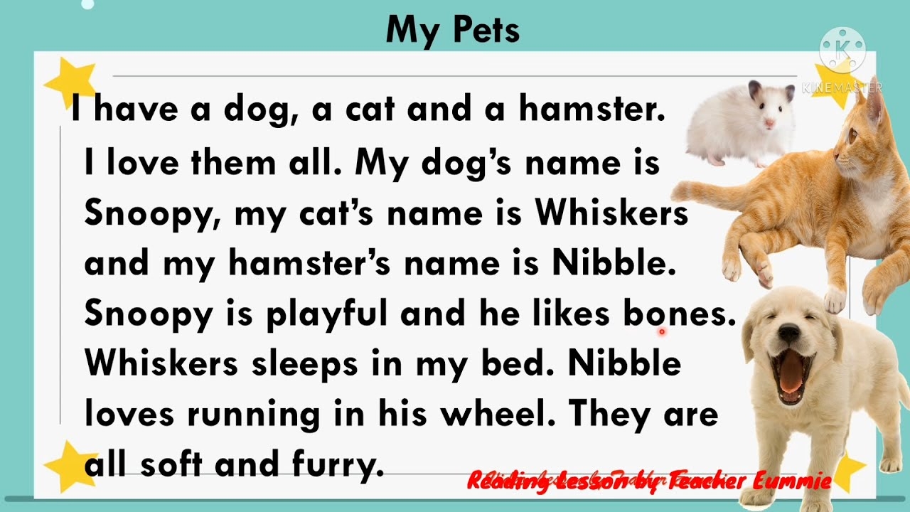 Short Story For Grade 3 With Comprehension YouTube