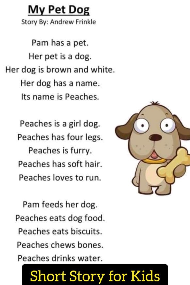 Short Story My Pet Dog