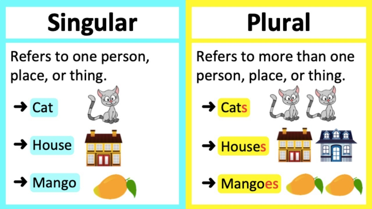 SINGULAR VS PLURAL NOUNS What s The Difference Learn With Examples YouTube SINGULAR VS PLURAL NOUNS What s The Difference Learn With Examples YouTube
