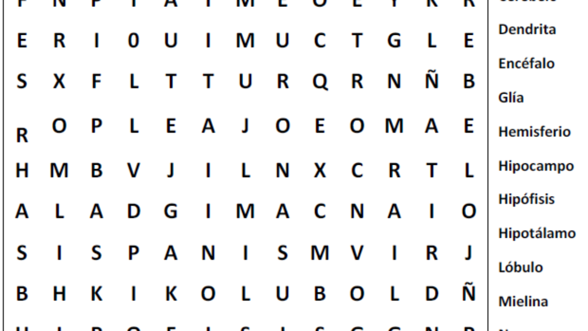 Sopa De Letras Sobre El Cerebro