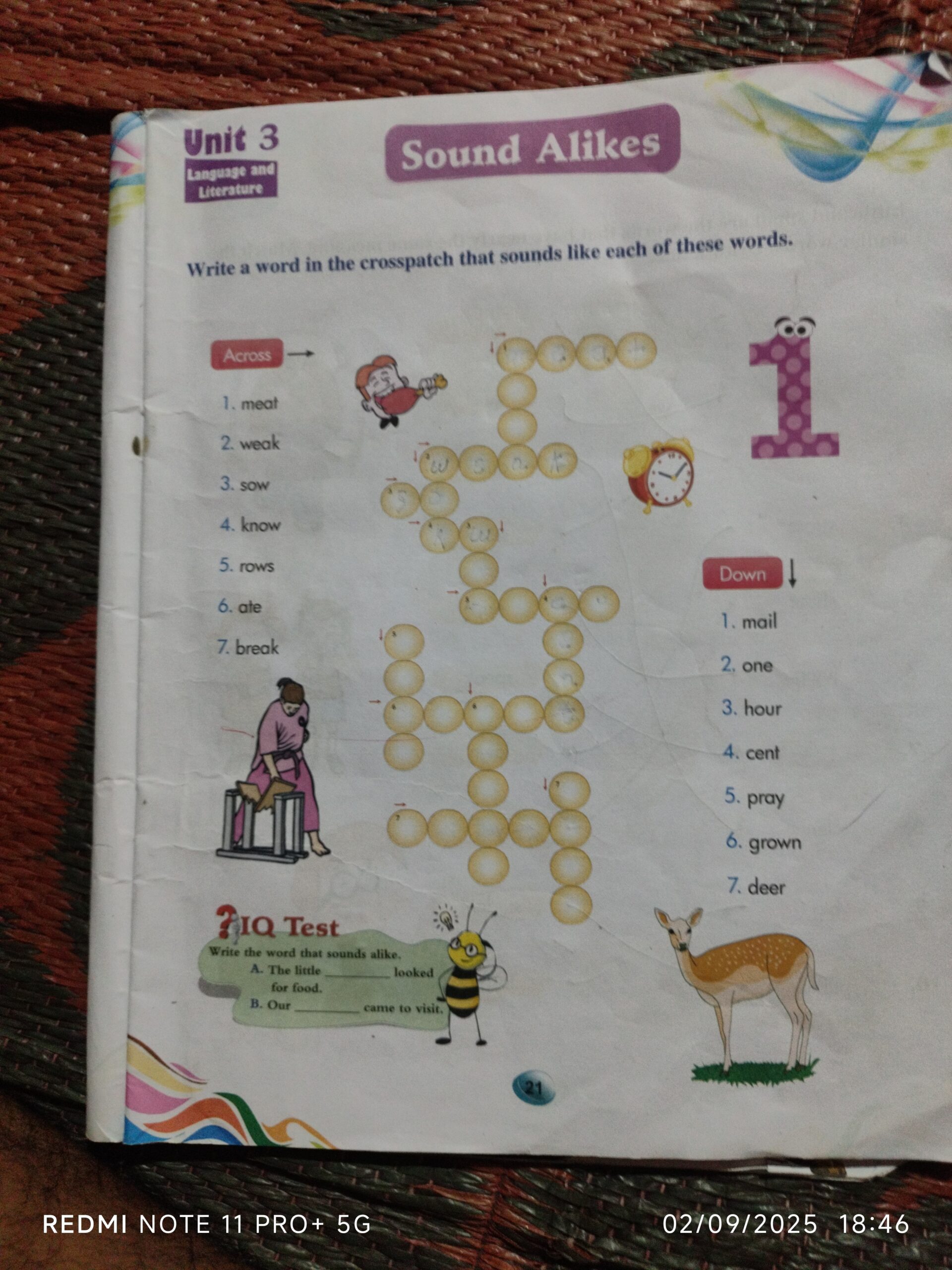 Sound Alikes Crossword Puzzle Write A Word In The Crossword That Sounds 