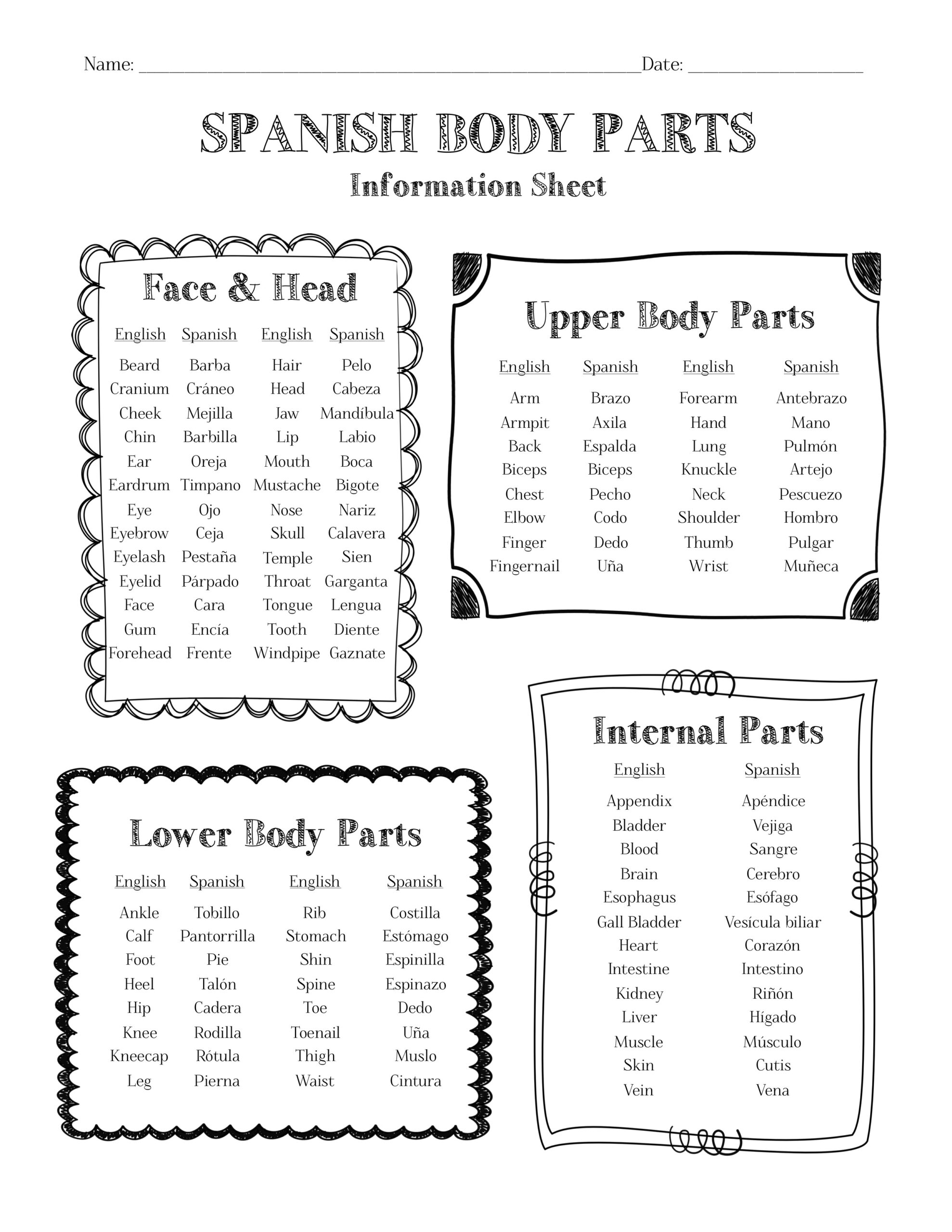 Spanish Body Parts Information Sheet Worksheet And Answer Key Made By Teachers