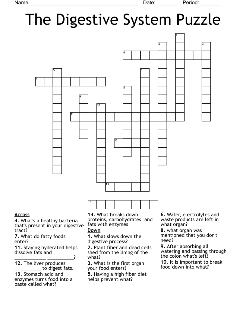 The Digestive System Puzzle Crossword WordMint The Digestive System Puzzle Crossword WordMint
