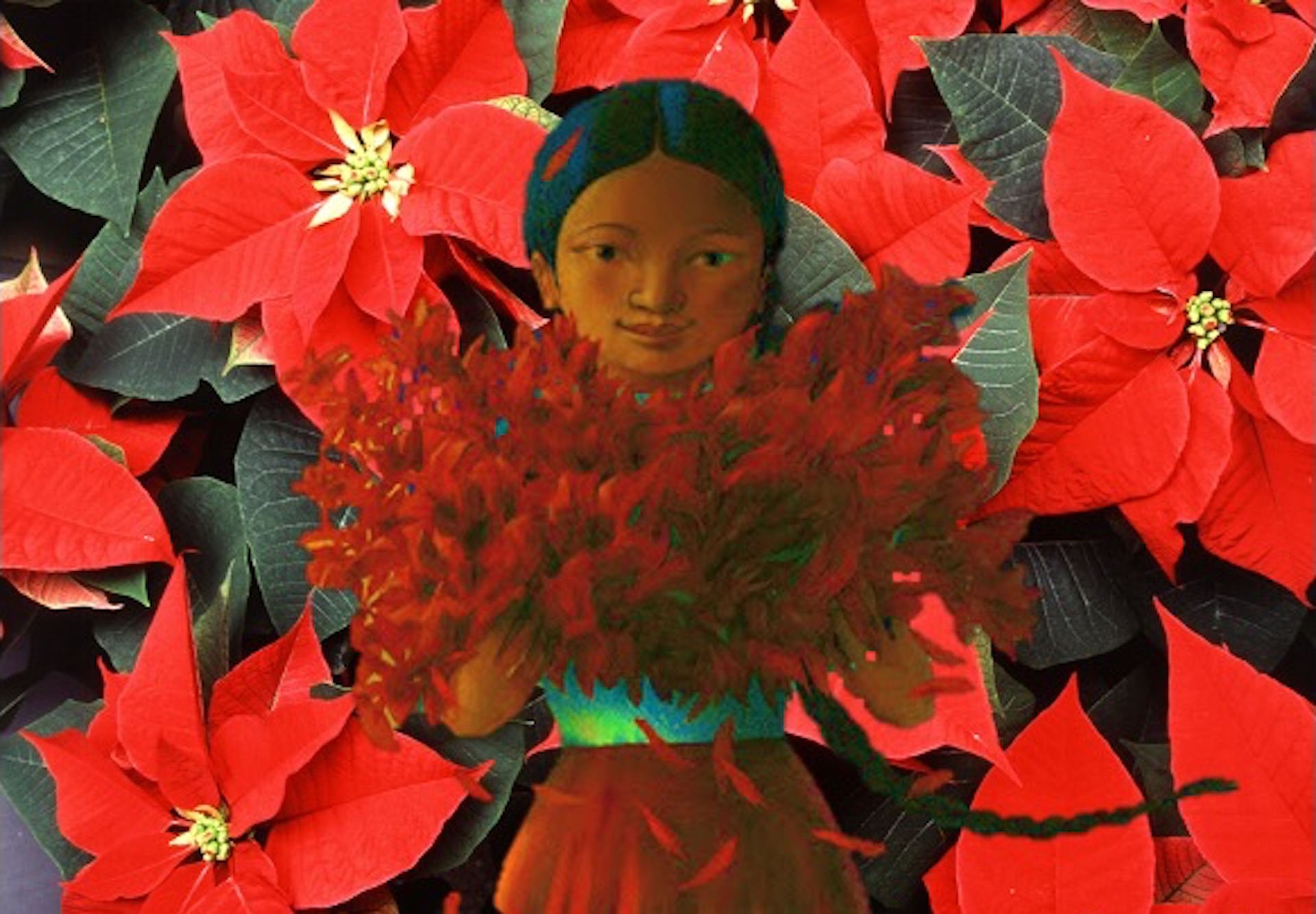 legend of the poinsettia