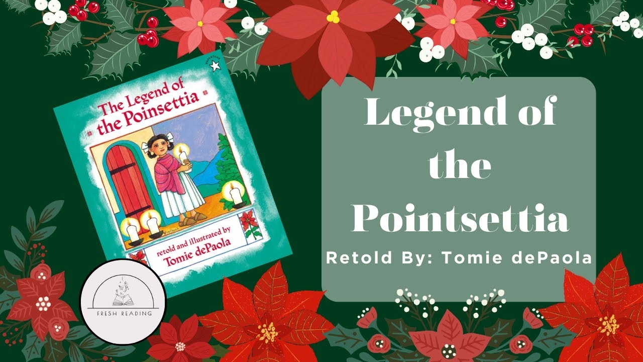 the legend of poinsettia the legend of poinsettia