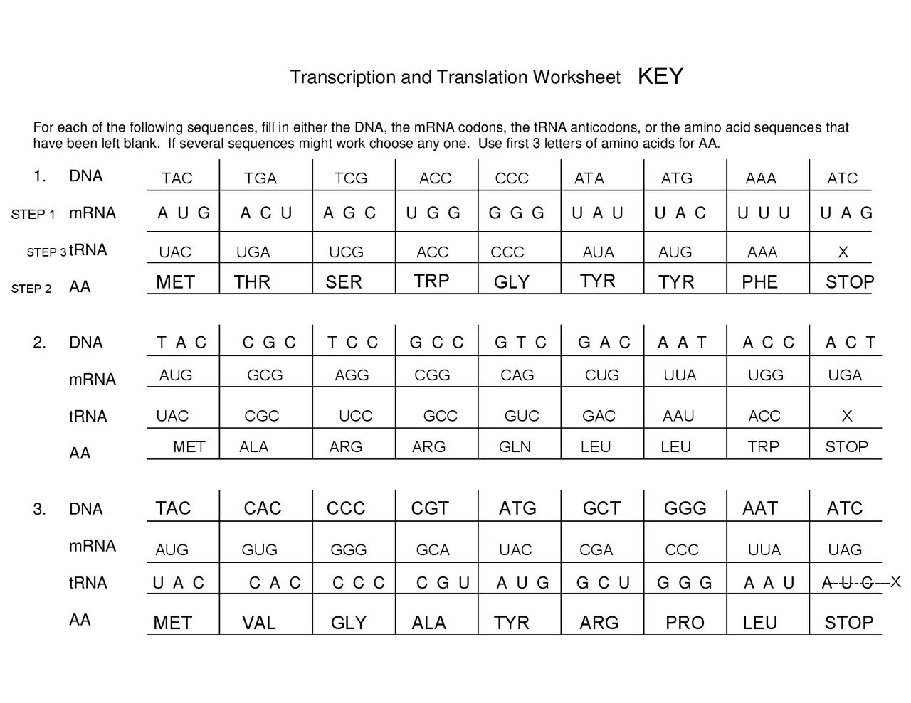 Transcription And Translation Worksheet Modified Students ou edu Worksheets Library