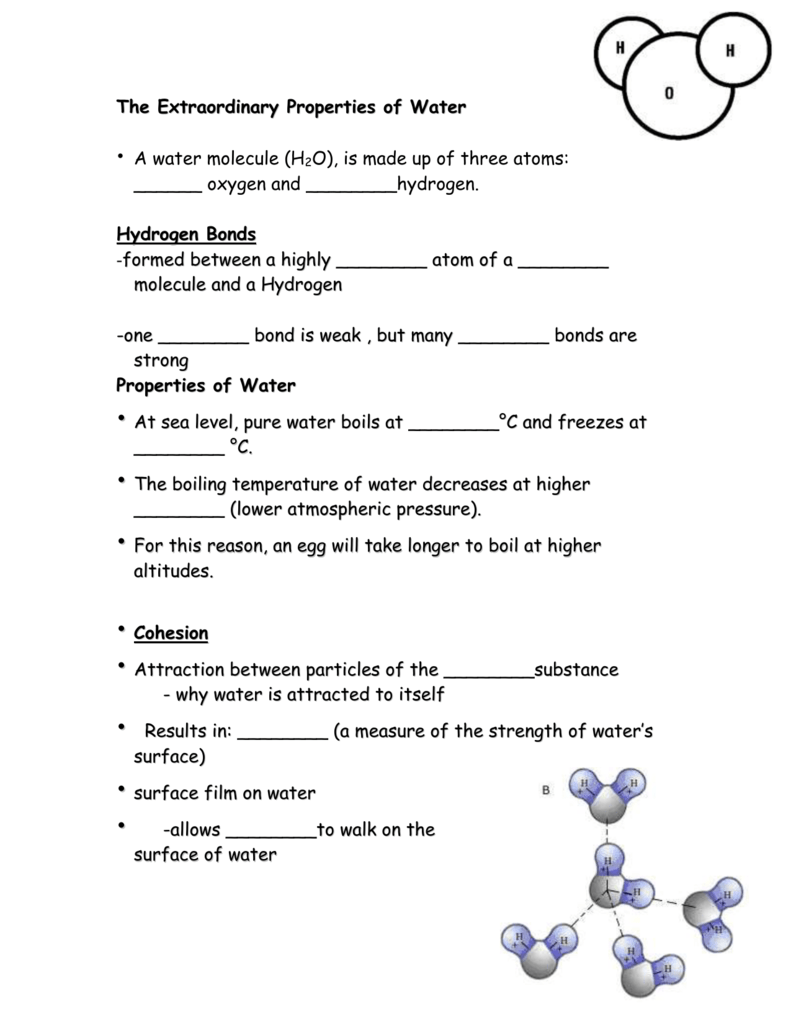 Water Properties Worksheet Cohesion Adhesion Heat