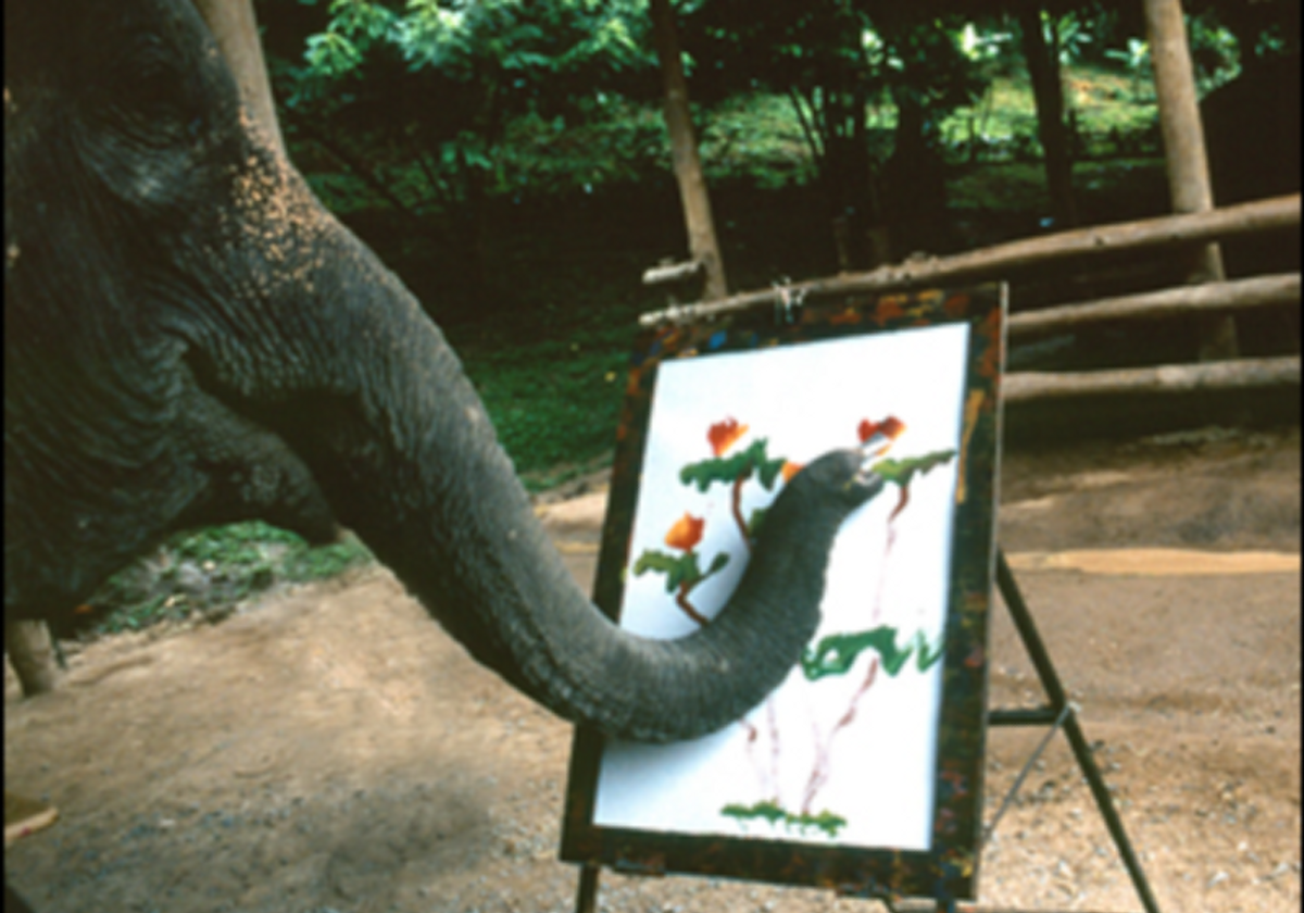 When I See An Elephant Paint The Scientist