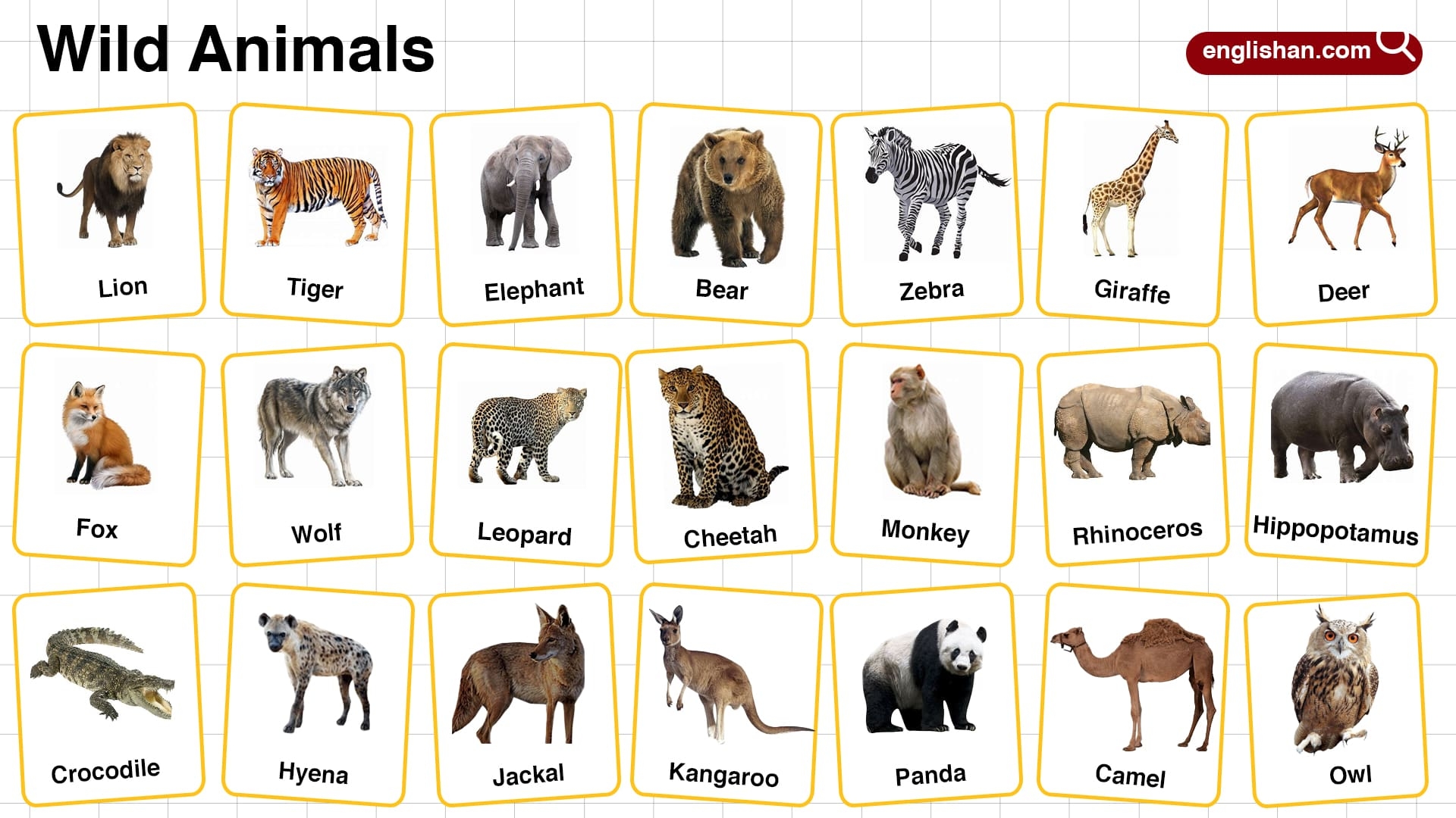 6 letter mammals names