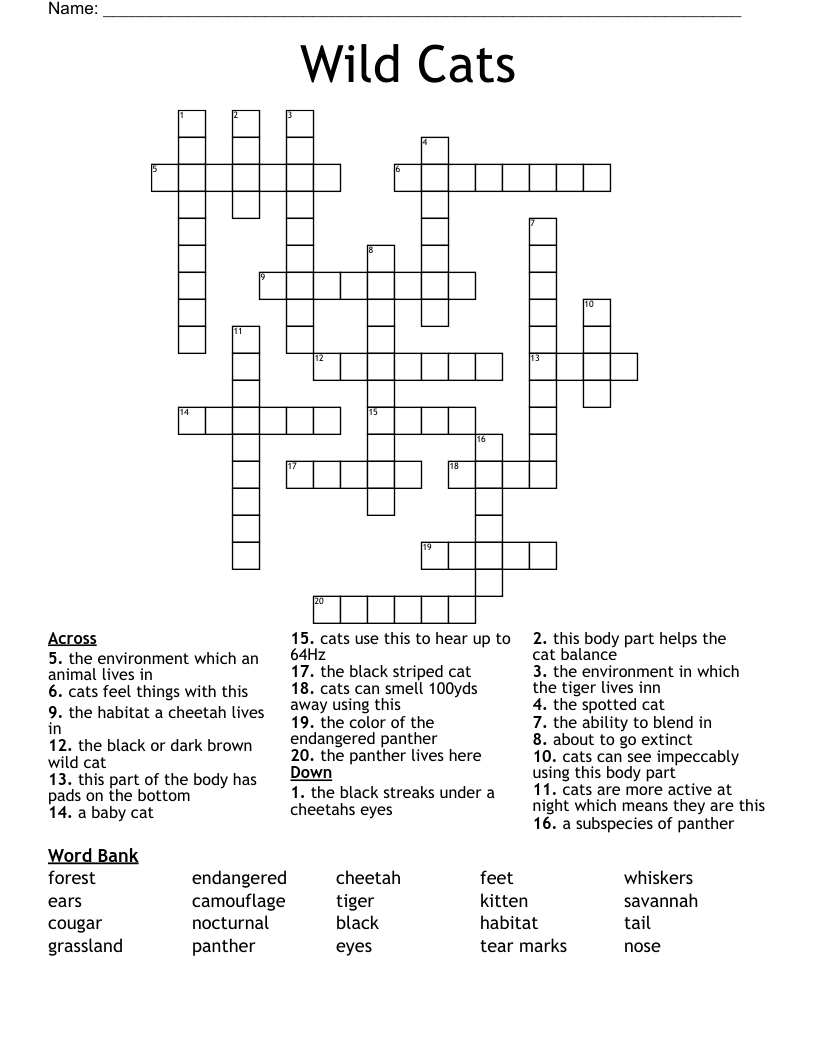 Wild Cats Crossword WordMint Wild Cats Crossword WordMint
