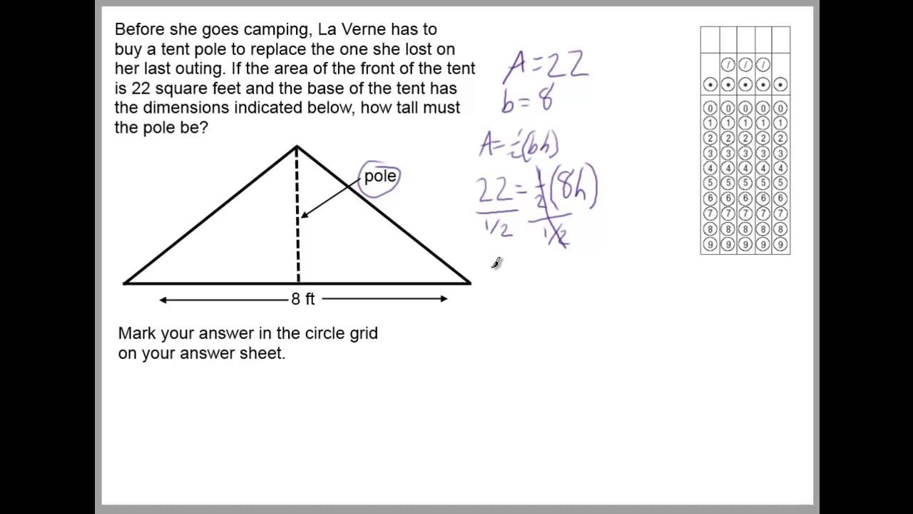 area of triangle activity sheet